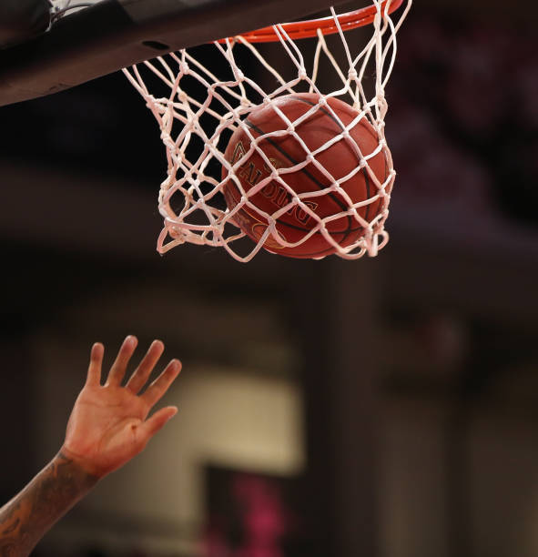 强嗅觉完成 强嗅觉完成